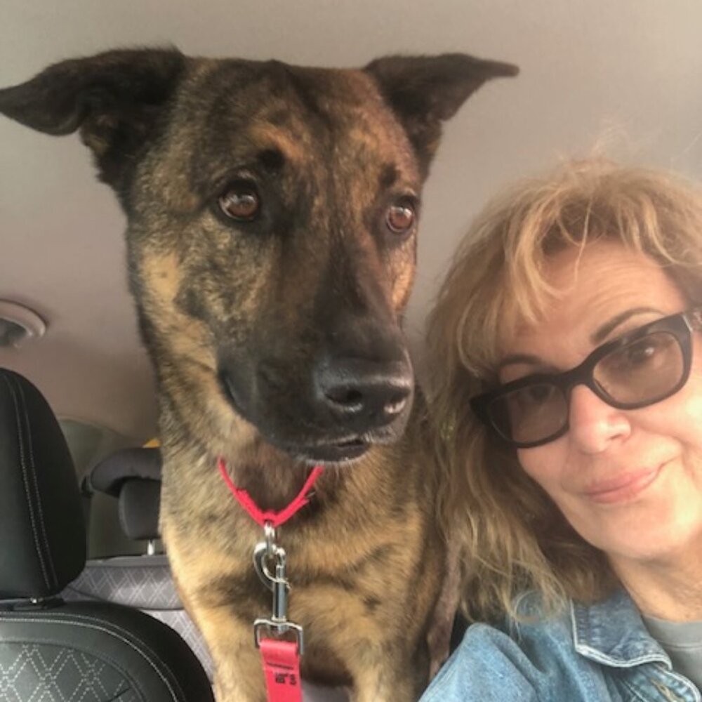 Meet your Posher, Susan